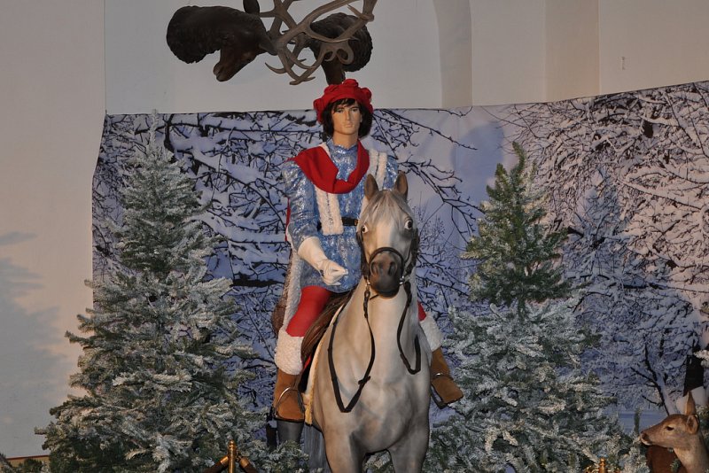 Adventní výlet na zámek Moritzburg a adventní trh v Pirně – fotografie 4