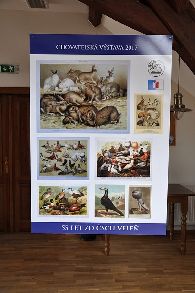 Chovatelská výstava 2017 – fotografie 11