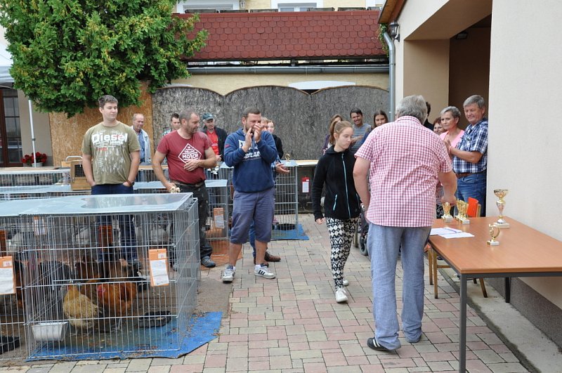 Chovatelská výstava 2018 – fotografie 14