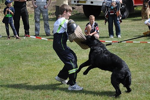 Dětský den 2. 6. 2012 – fotografie 13