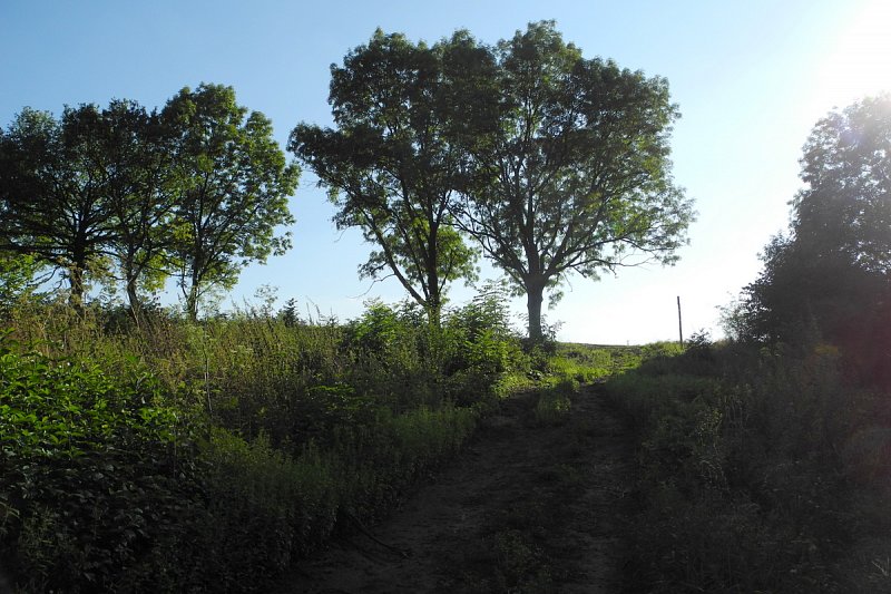 Pozvánka na procházku - nová pěšina nad Veleň – fotografie 4