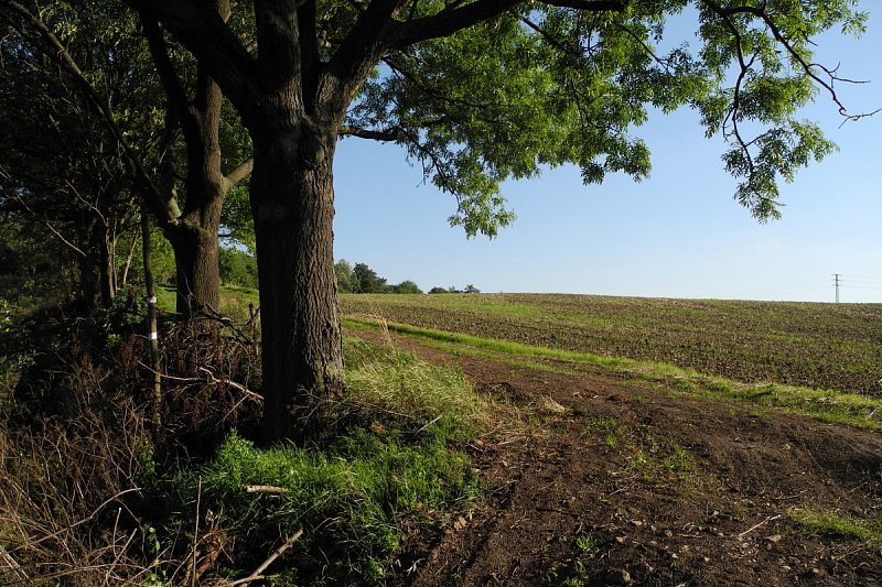 Pozvánka na procházku - nová pěšina nad Veleň – fotografie 5