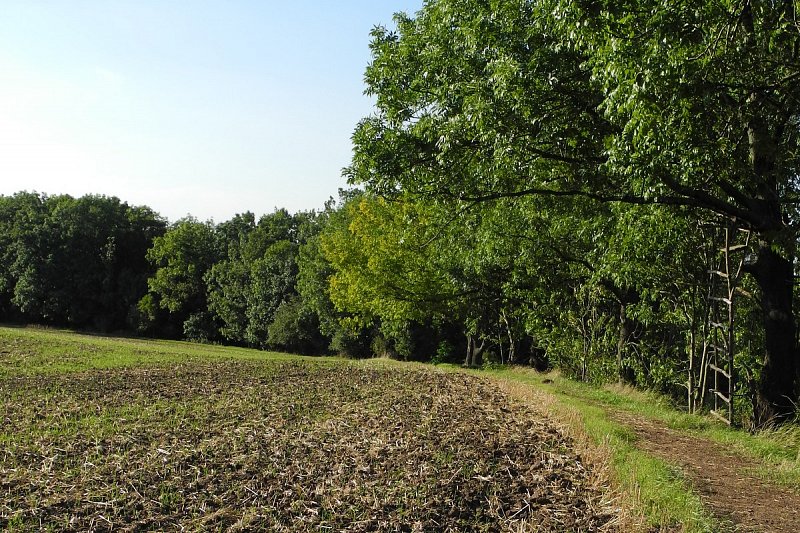 Pozvánka na procházku - nová pěšina nad Veleň – fotografie 10