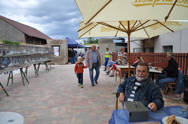 Výstava našich chovatelů 4.- 6. září – fotografie 18