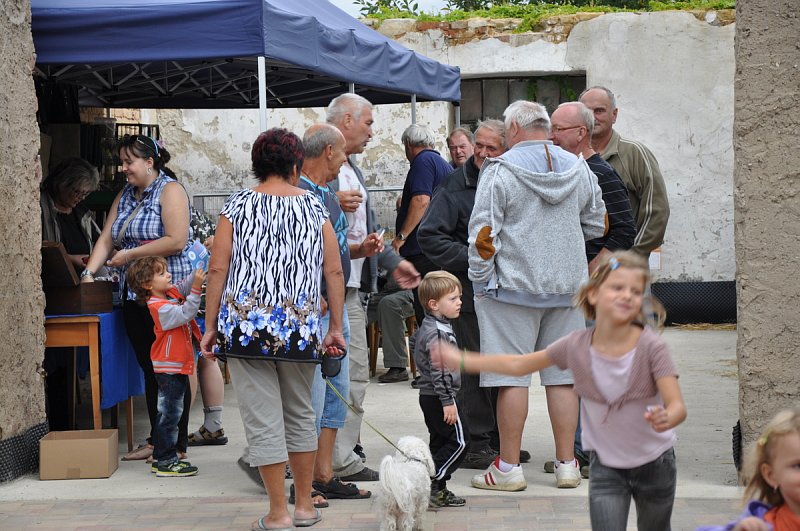 Výstava našich chovatelů 4.- 6. září – fotografie 20