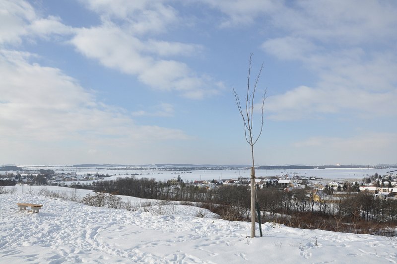 Zima 2021 ve Veleni a v Mírovicích – fotografie 16